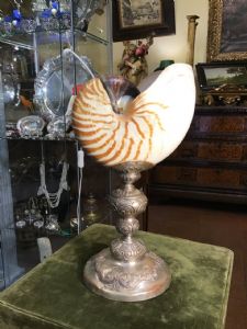 Nautilus 